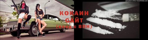 шишки Вязьма